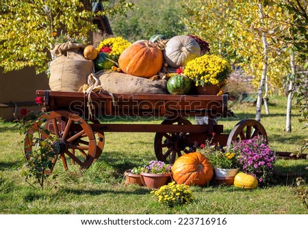 Wooden cart with autumn fruits. Autumn harvest festival - old cart with watermelons, sacks of potato, pumpkins and colorful autumn flowers. Landscape design in the country style for fall season.