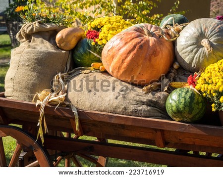 Wooden cart with autumn fruits. Autumn harvest festival - old cart with watermelons, sacks of potato, pumpkins and colorful autumn flowers. Landscape design in the country style for fall season.