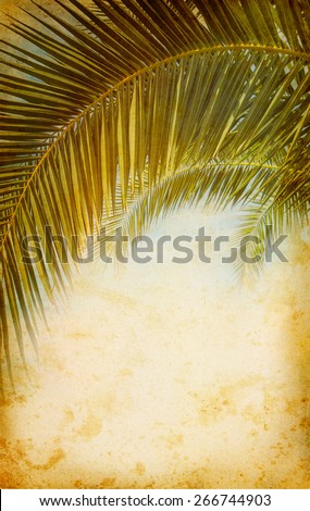 Vintage background with palm leaves. Grange texture for exotic travel in retro style. Tropical jungle on the old grunge antique paper - concept of adventure on the tropical island.