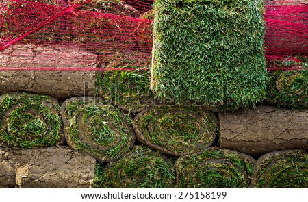 Rolls of fresh grass turf for garden design or sports yard. Green lawn, grass-plot in the rolls in stack.
