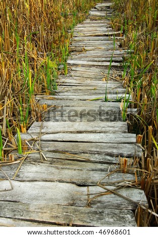 Wooden pathway plank - the road to infinity, path to nowhere.