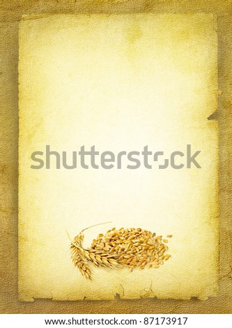 Wheat grain with empty copy-space and frame for your text - agricultural and food concept in retro style. Paper texture background with concept of cereal food.