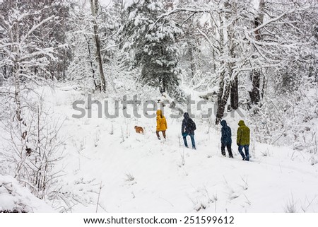 Nature, landscape. People walk in the woods in the snow. Overcast. Without the use of filters.