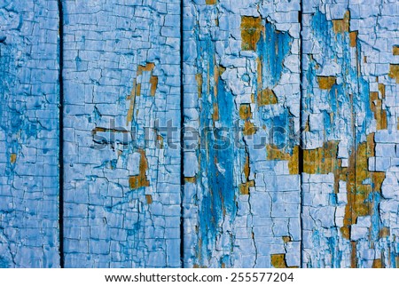 Backgrounds. Wooden wall with blue paint, which showered. Without the use of filters.