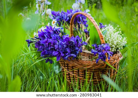 Nature, objects, flowers. Bouquet of flowers in a basket: irises, daisies, lilies of the valley, a plan of aspect. Without the use of a filter.