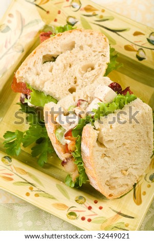 Chicken salad sandwich with bacon, walnut and cranberry