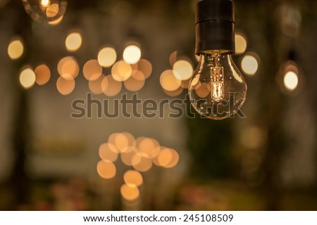 Lighting decor. Retro light bulb filament close up. Illuminated.