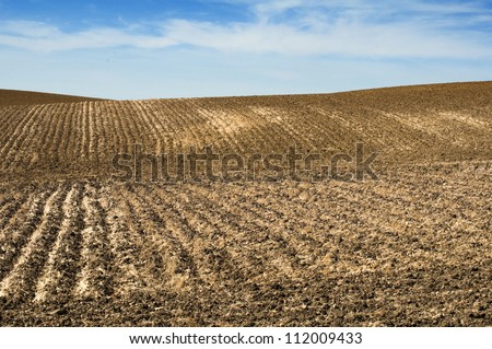 Agricultural land soil and blue sky .