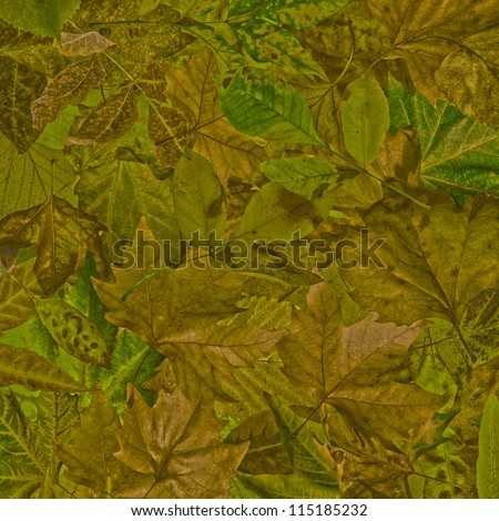 Autumn leaves pastel colors background. Pile of leaves close up.