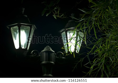 Night picture of the lamp close up. Decorative garden in the night.