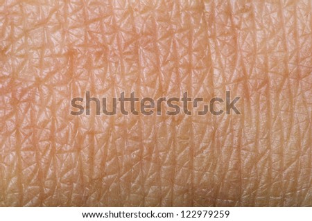 Human skin close up. Structure of Skin