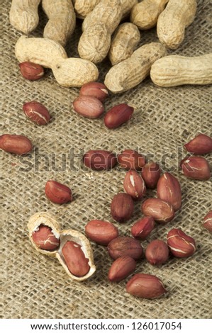 Closeup Peanuts on burlap.Raw peanuts in shells and shelled peanuts.