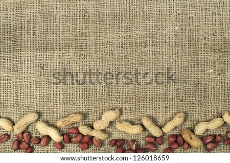 Closeup Peanuts on burlap.Raw peanuts in shells and shelled peanuts. Arranged as border