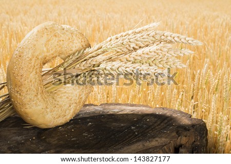 Bread and wheat cereal crops. Cereal crops on the background