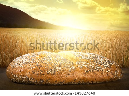 Bread and wheat cereal crops at sunset. Cereal crops on the background