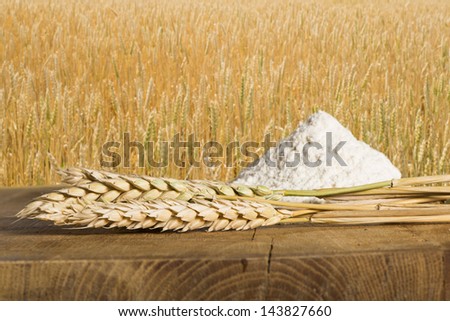 Bread, flour and wheat cereal crops. Cereal crops on the background