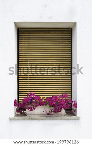 White wall and venetian style windows with pink flowers