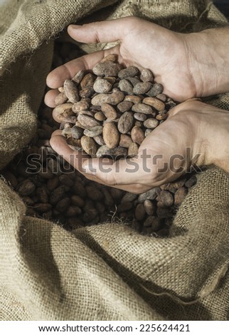 Hand holds cocoa beans in a bag