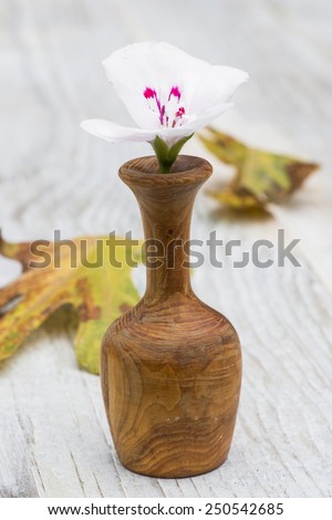 Small wooden vase with white flower. Bulgaria, Plovdiv