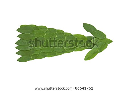 Leaf Arrow