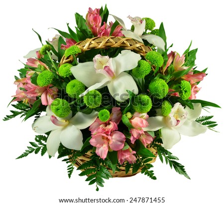 Basket of flowers and greens isolated on white
