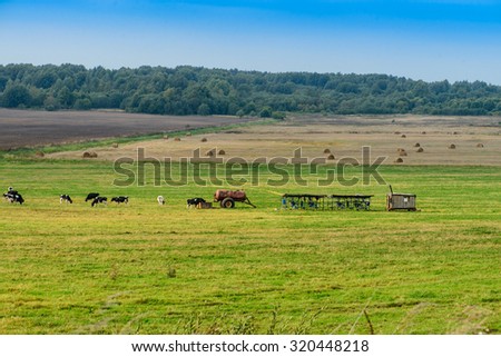 Landscape, cows grazing in the fields, milking equipment, a mobile farm