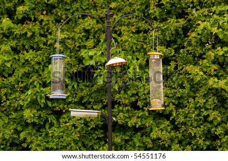 Bird feeding station with green hedge as background
