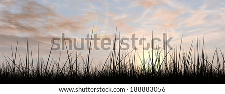 Concept or conceptual black grass or plant field or meadow silhouette in summer or spring evening over a sky at sunset with clouds background, metaphor to nature, landscape ,environment or freedom