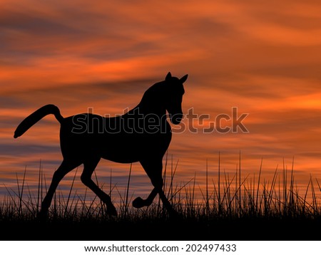 Concept or conceptual young beautiful black horse silhouette in grass or meadow over a sky at sunset landscape background, metaphor to farm, nature, wild, freedom, free, power, healthy, strong animal