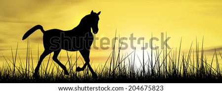 Concept or conceptual beautiful black horse silhouette in grass or meadow over a sky at sunset landscape background, metaphor to farm, nature, wild, freedom, free, power, healthy, strong animal banner