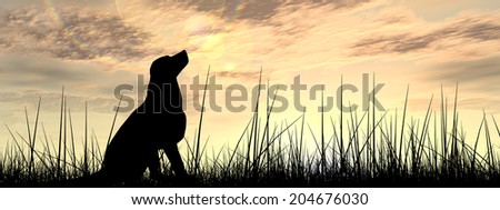 Concept or conceptual young beautiful black cute dog silhouette in grass over a sky at sunset landscape background, metaphor to nature, summer, fun, happy, domestic, vacation, peace or relax banner