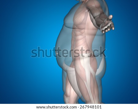 Concept or conceptual 3D fat overweight vs slim fit diet with muscles young man blue gradient background, metaphor weight loss, body, fitness, fatness, obesity, health, healthy, male, dieting, shape