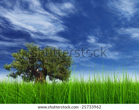 blue sky grass. grass over a lue sky with