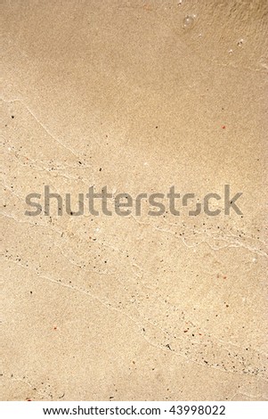 Golden sand background just brushed by a wave