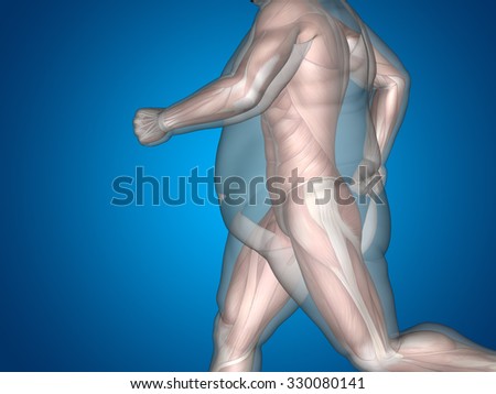 Concept or conceptual 3D fat overweight vs slim fit diet with muscles young man blue gradient background metaphor weight loss, body, fitness, fatness, obesity, health, healthy, male, dieting or shape