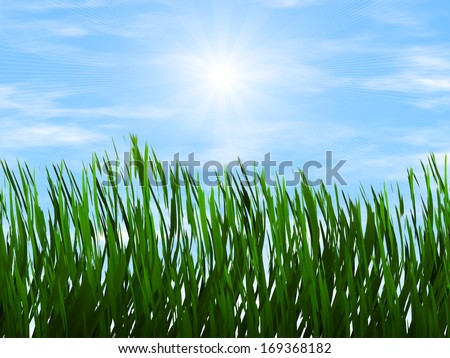 bright green grass on a blue sky sunbeam backgrounds