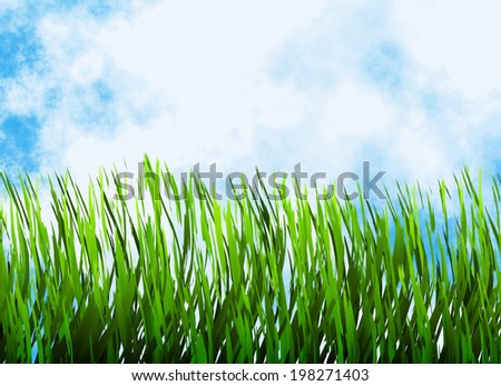 bright green grass on a blue sky backgrounds