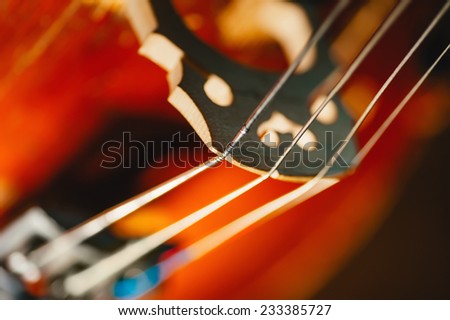 fretboard with string of old shabby cello. Selective soft focus on string
