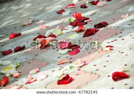 Petals of roses scattered on a floor