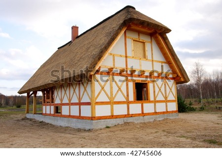 Ecological rural wooden house with cane roof