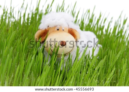 [Obrazek: stock-photo-easter-sheep-on-fresh-green-...556693.jpg]