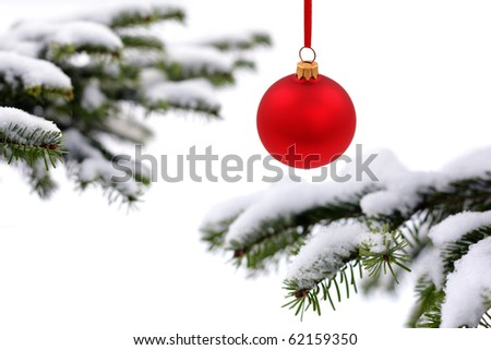 [Obrazek: stock-photo-christmas-evergreen-spruce-t...159350.jpg]