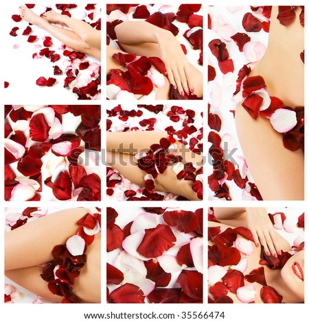 Collage of several photos for spa and body care and beauty industry
