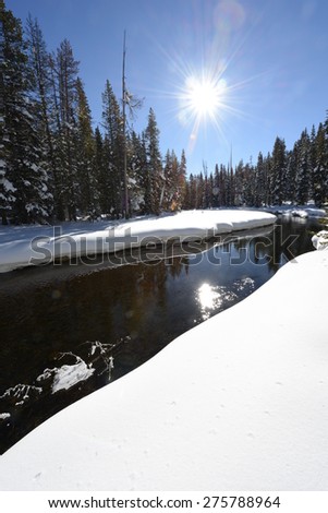 River with snow-covered banks and conifer forest under sunny weather. Yellowstone National Park.