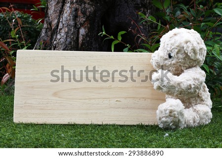 Single teddy bear on a grass and board wood for your text in the garden.