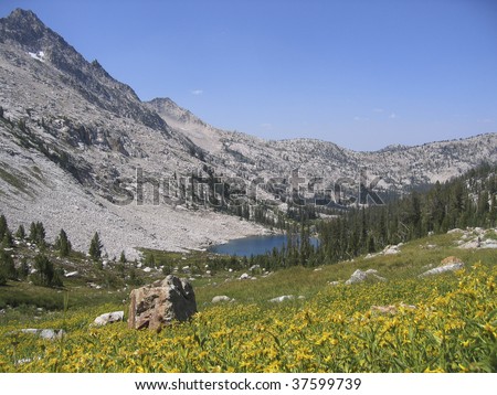 Twin Lakes and Mountain Flowers in the Sawtooth Wilderness