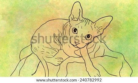 Sphynx cat illustration