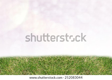 Grass, colorful sticky notes on the background to offer products according to your needs.