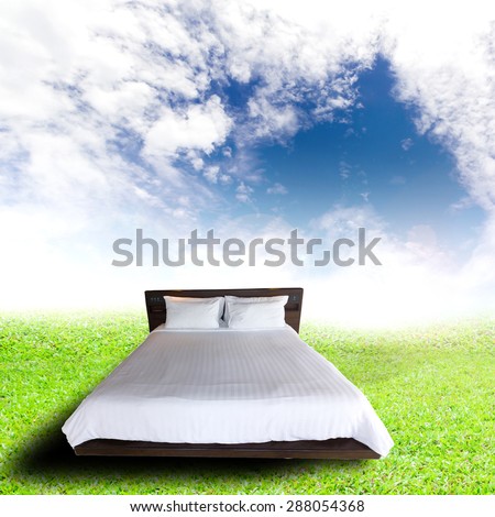 World environment day concept the planet on green grass and bed.  World care for you even when you sleep .The space to insert text wherever you want.