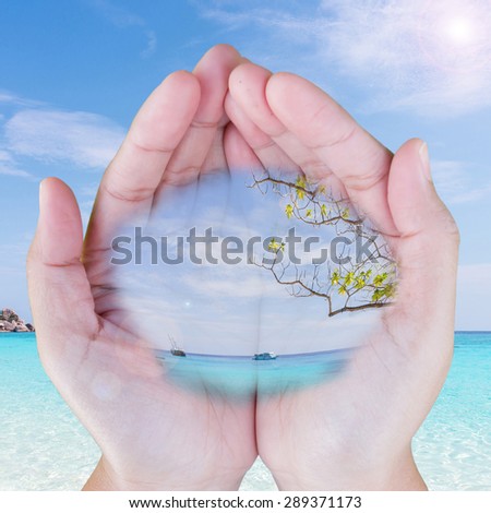 Sea in the hands of women Women dream about travel.